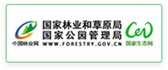 友链二