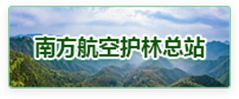 友链三