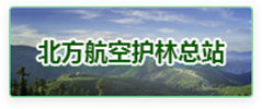 友链四