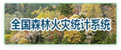 友链5